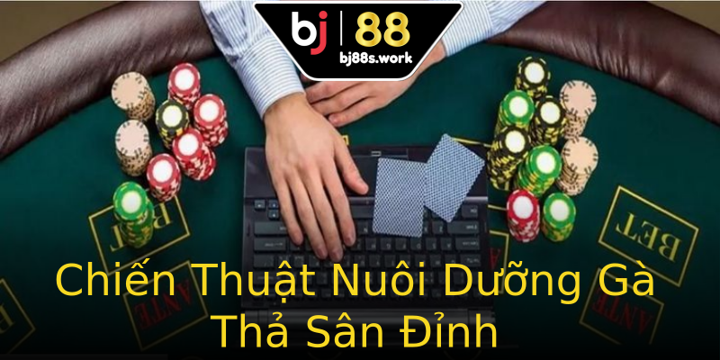 Chiến Thuật Nuôi Dưỡng Gà Thả Sân Đỉnh Chiến Thuật Nuôi Dưỡng Gà Thả Sân Đỉnh