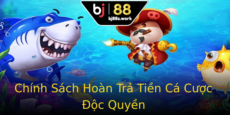Chính Sách Hoàn Trả Tiền Cá Cược Độc Quyền Chính Sách Hoàn Trả Tiền Cá Cược Độc Quyền