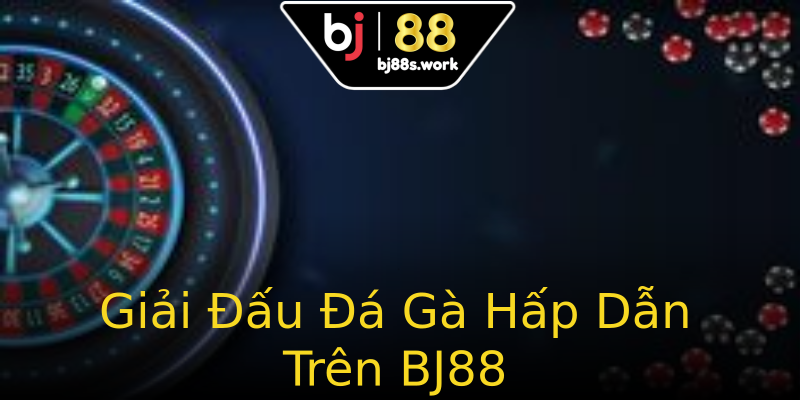 Giải Đấu Đá Gà Hấp Dẫn Trên BJ88 Giải Đấu Đá Gà Hấp Dẫn Trên BJ88