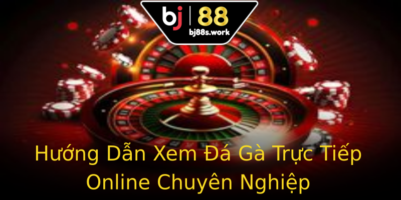 Hướng Dẫn Xem Đá Gà Trực Tiếp Online Chuyên Nghiệp Hướng Dẫn Xem Đá Gà Trực Tiếp Online Chuyên Nghiệp