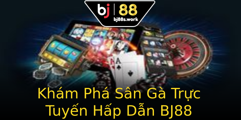 Khám Phá Sân Gà Trực Tuyến Hấp Dẫn BJ88 Khám Phá Sân Gà Trực Tuyến Hấp Dẫn BJ88