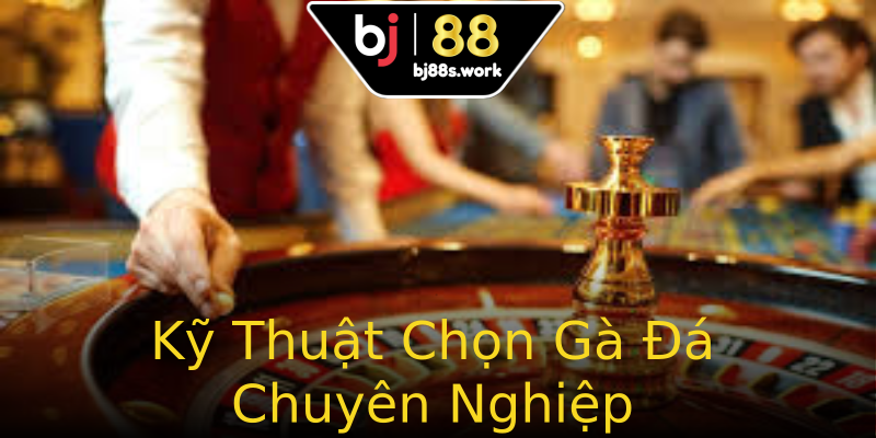 Kỹ Thuật Chọn Gà Đá Chuyên Nghiệp Kỹ Thuật Chọn Gà Đá Chuyên Nghiệp