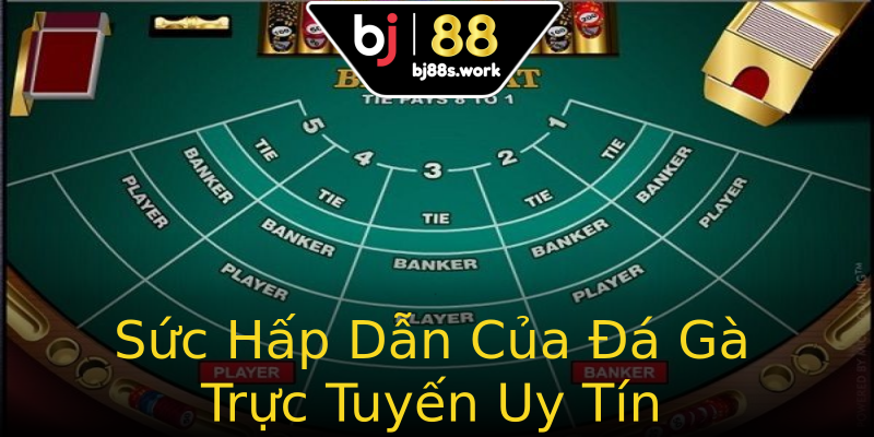 Sức Hấp Dẫn Của Đá Gà Trực Tuyến Uy Tín Sức Hấp Dẫn Của Đá Gà Trực Tuyến Uy Tín