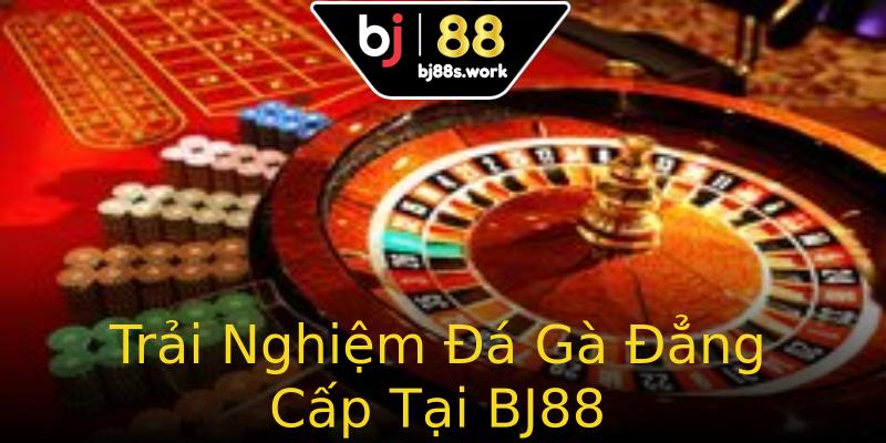 Trải Nghiệm Đá Gà Đẳng Cấp Tại BJ88 Trải Nghiệm Đá Gà Đẳng Cấp Tại BJ88