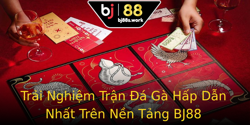 Trải Nghiệm Trận Đá Gà Hấp Dẫn Nhất Trên Nền Tảng BJ88 Trải Nghiệm Trận Đá Gà Hấp Dẫn Nhất Trên Nền Tảng BJ88